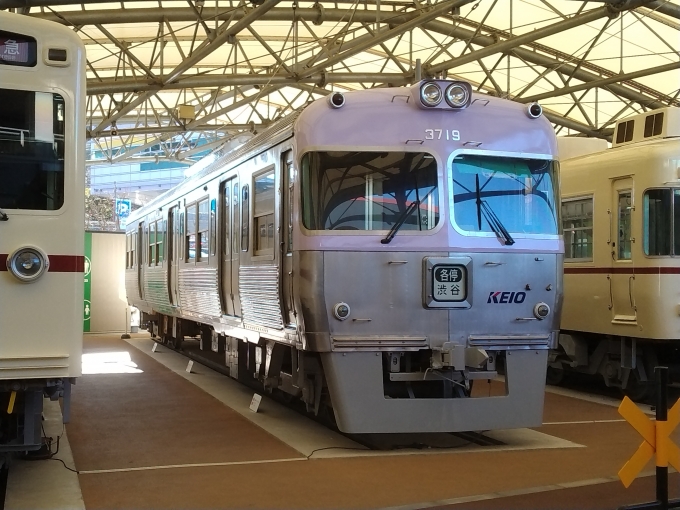 鉄道乗車記録の写真:列車・車両の様子(未乗車)(4)        「クハ3719(京王レールパーク）」