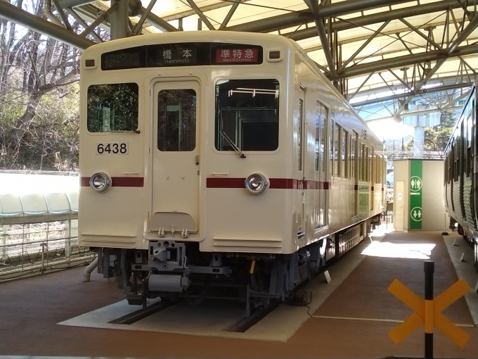鉄道乗車記録の写真:列車・車両の様子(未乗車)(6)        「デハ6438(京王レールパーク）」
