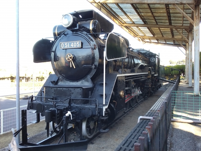 鉄道乗車記録の写真:列車・車両の様子(未乗車)(1)        「D51-405。
駅から徒歩30分ほどのユーカリ交通公園に静態保存されている。」