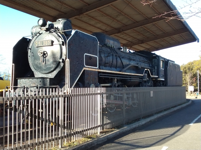 鉄道乗車記録の写真:列車・車両の様子(未乗車)(1)          「D51-385。
新鎌ケ谷駅から15分ほどの市制記念公園に静態保存されている。」