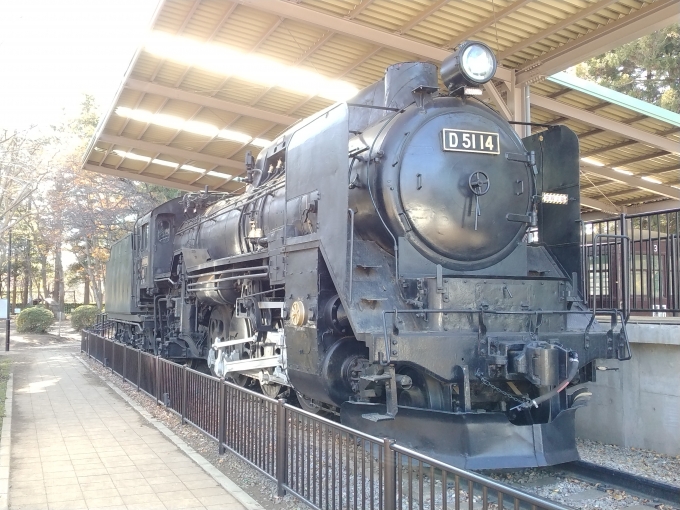 鉄道乗車記録の写真:列車・車両の様子(未乗車)(2)        「D51-14。
流山ｾﾝﾄﾗﾙﾊﾟｰｸ駅から10分ほどの総合運動公園に静態保存されている。」