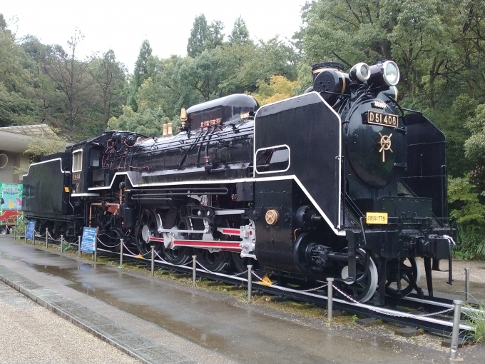 鉄道乗車記録の写真:列車・車両の様子(未乗車)(1)          「D51-408。
生田緑地に保存されている。」