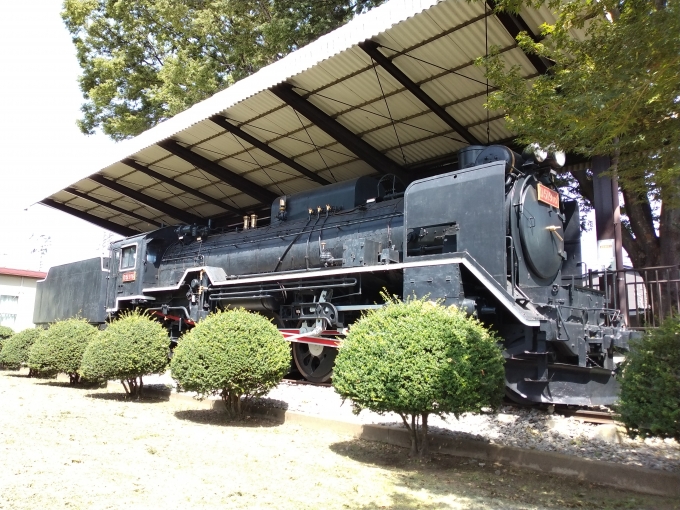 鉄道乗車記録の写真:列車・車両の様子(未乗車)(2)        「D51-916。
前橋こども公園に静態保存されている。」