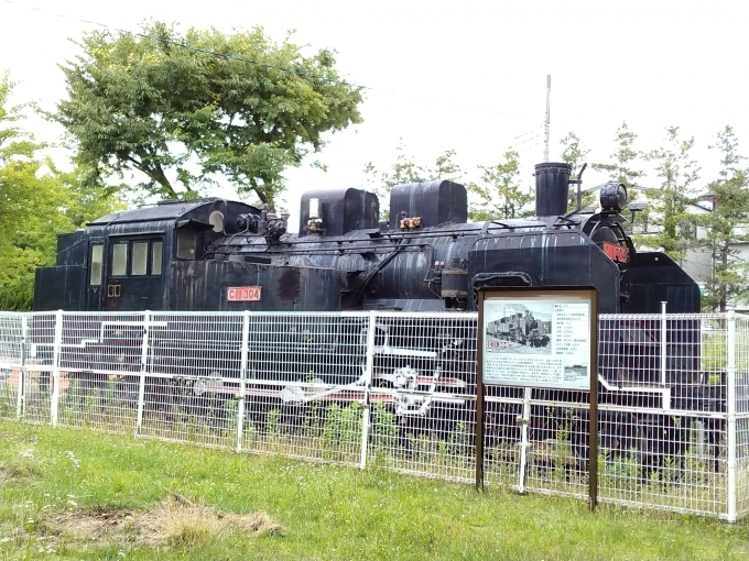 鉄道乗車記録の写真:列車・車両の様子(未乗車)(3)        「C11-304。
蕨駅から徒歩20分ほどの大荒田交通公園に保存されている。」