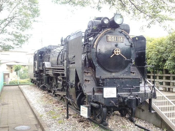 鉄道乗車記録の写真:列車・車両の様子(未乗車)(2)        「D51-118。
駅から徒歩10分ほどの小手指公園に保存されている。」
