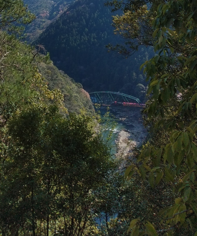 鉄道乗車記録の写真:旅の思い出(5)        「六丁峠のちょっと手前で、木立の間からトロッコ列車が保津川を渡るのが見える。」