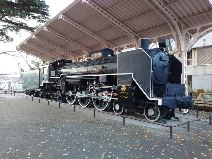 鉄道乗車記録の写真:列車・車両の様子(未乗車)(1)        「C60-1。
仙台市西公園に保存されている。」