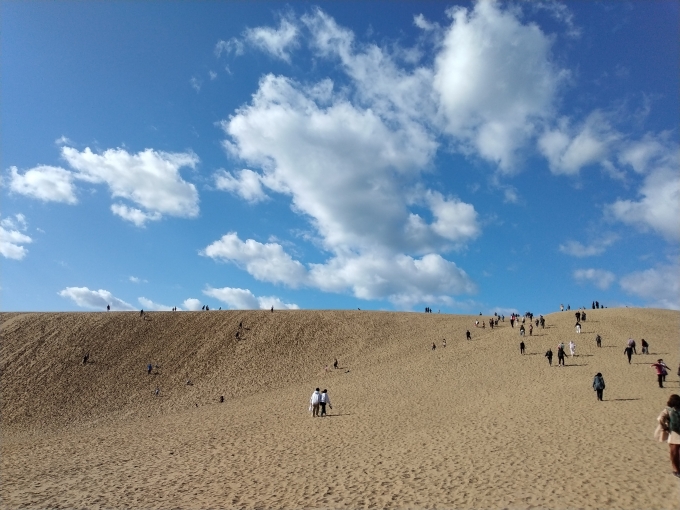 鉄道乗車記録の写真:旅の思い出(3)        「鳥取砂丘。」