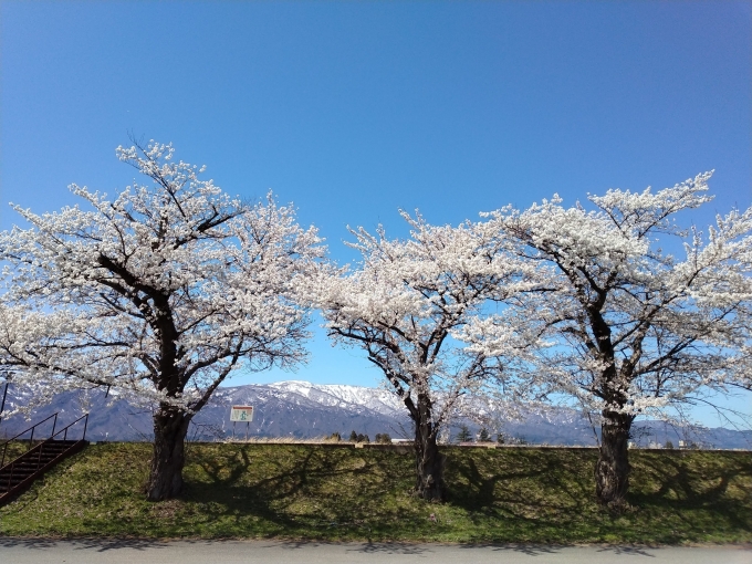 鉄レコ写真:旅の思い出