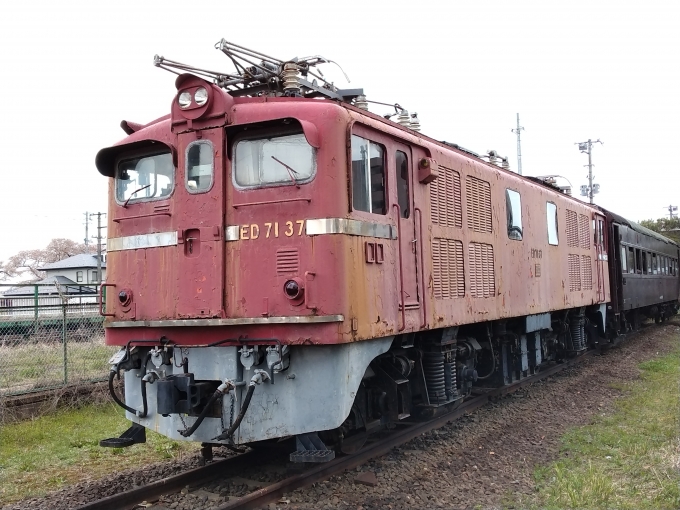 鉄道乗車記録の写真:列車・車両の様子(未乗車)(2)        「ED71-37。
船岡駅前公園に保存されている。」