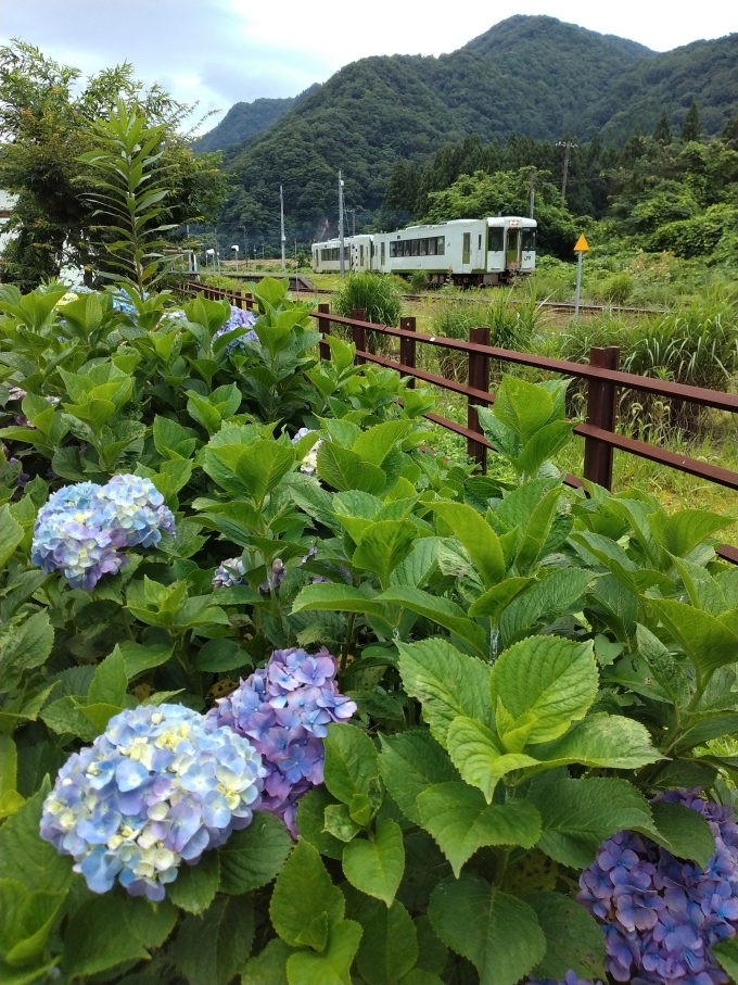鉄道乗車記録の写真:列車・車両の様子(未乗車)(2)        「228D会津若松行き。
この構図でばんえつ物語号を撮った。」