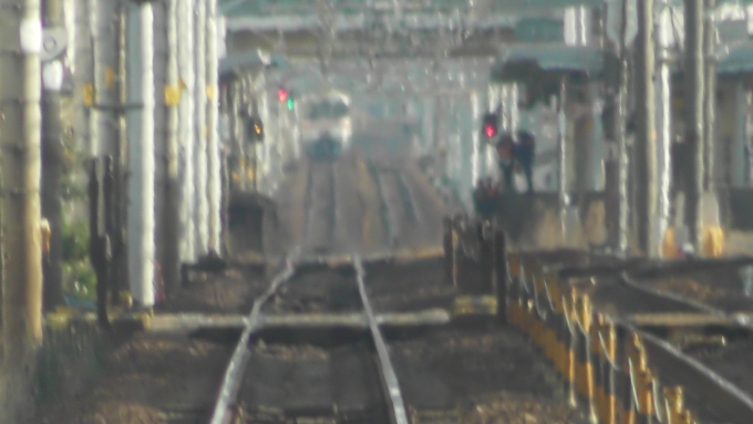 鉄道乗車記録の写真:列車・車両の様子(未乗車)(9)        「前の普通列車」