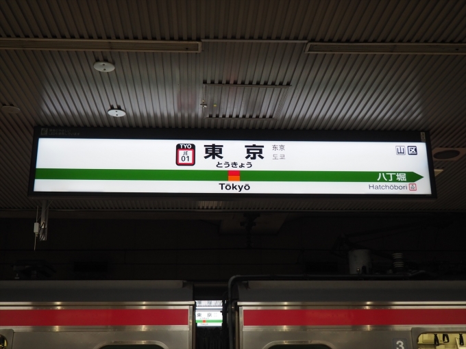 鉄道乗車記録の写真:駅名看板(2)        「京葉線ホームの駅名標」