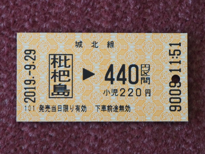 鉄道乗車記録の写真:きっぷ(3)        「ICカードは使えないので切符を購入」