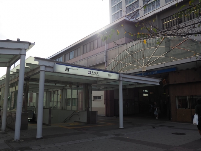 鉄道乗車記録の写真:駅舎・駅施設、様子(1)        「リニモは地下駅だが地下鉄は左側の地上駅高架線」
