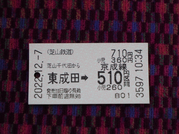 鉄道乗車記録の写真:きっぷ(1)        「途中までの切符で精算するのが面倒なので、降りる駅までの切符を買う。」