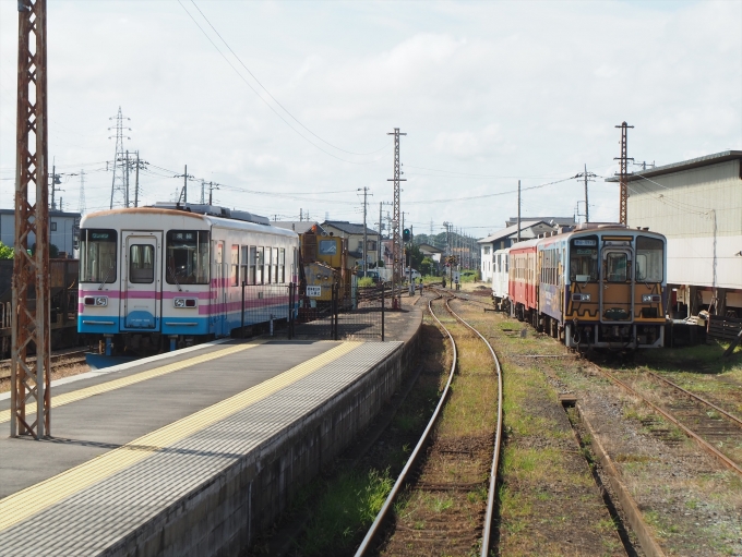 鉄道乗車記録の写真:駅舎・駅施設、様子(5)        「車庫の車両たち」