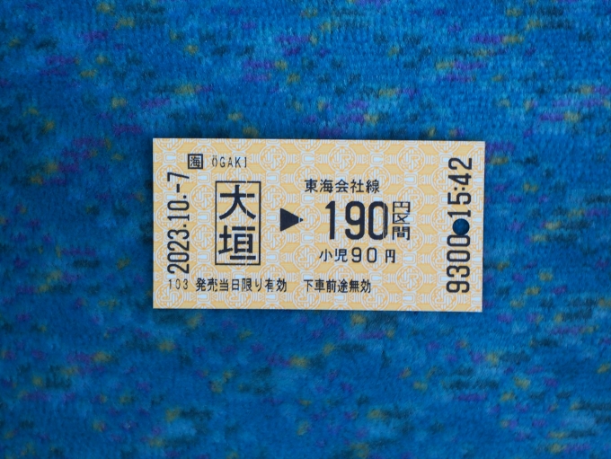 鉄道乗車記録の写真:きっぷ(3)        「ICカードは利用できないので、切符を買って乗車。」
