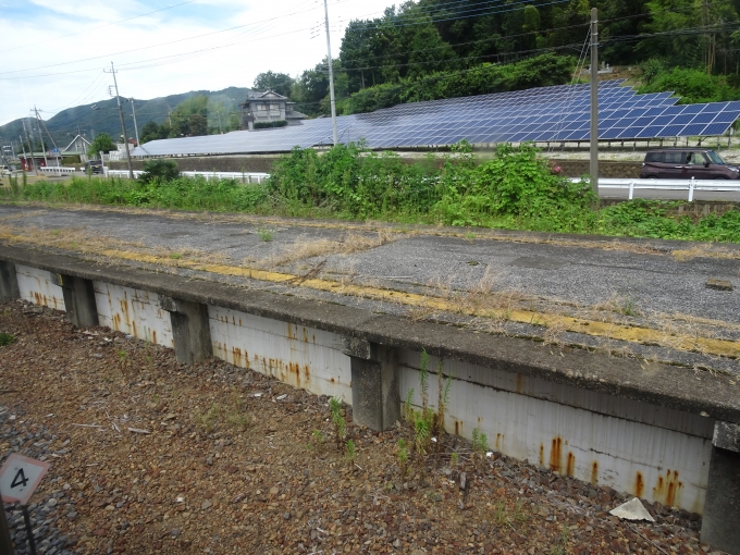 鉄道乗車記録の写真:駅舎・駅施設、様子(3)     「大平下のホームの一つです。
今は使われておらず、草にまみれています。」