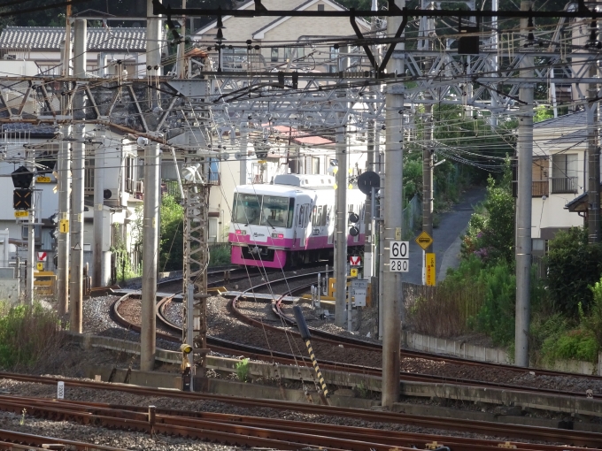 鉄道乗車記録の写真:列車・車両の様子(未乗車)(1)          「松戸の通過待ち中に新京成線が見えました。」