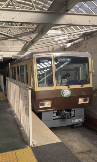 西武鉄道 8524 (西武8500系) 車両ガイド | レイルラボ(RailLab)
