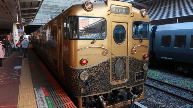 鉄道乗車記録の写真:乗車した列車(外観)(1)        「或る列車」