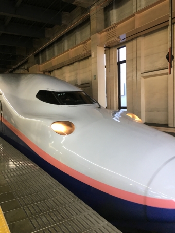 大宮駅から浦佐駅の乗車記録(乗りつぶし)写真