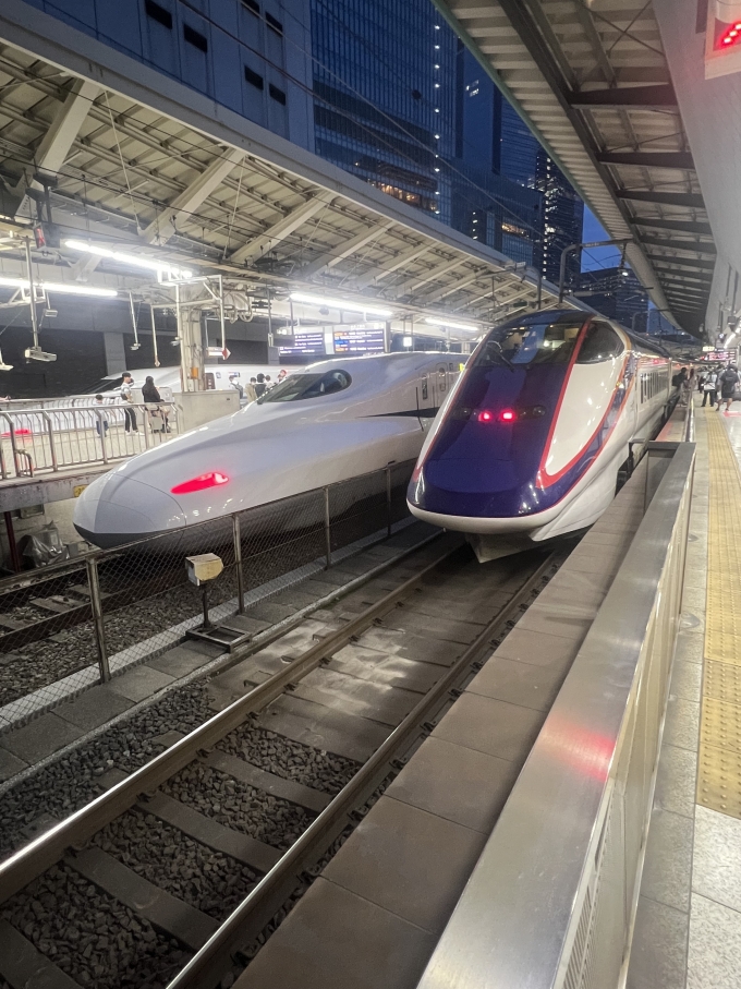 鉄道乗車記録の写真:乗車した列車(外観)(5)        「東京駅でN700系と並びました(編成は特定できませんでした)」