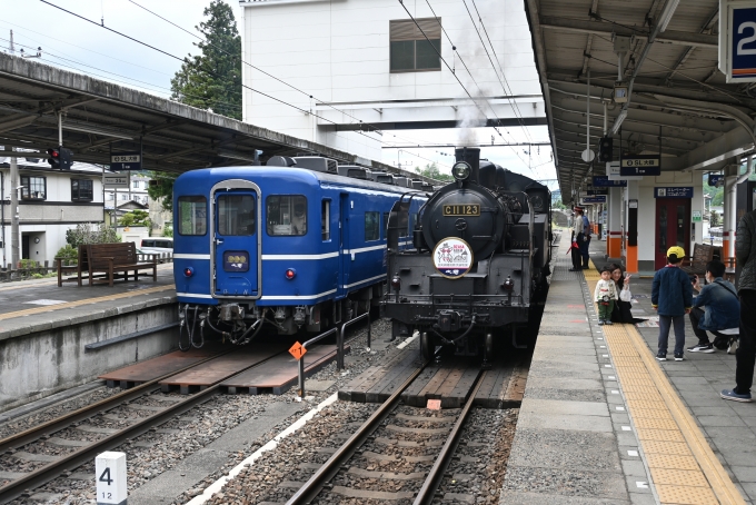 鉄道乗車記録の写真:乗車した列車(外観)(2)        「鬼怒川温泉駅到着後、機回し中の様子。」