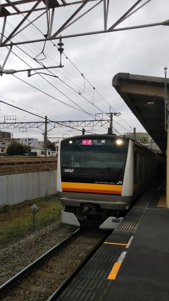 府中本町駅から稲田堤駅の乗車記録(乗りつぶし)写真