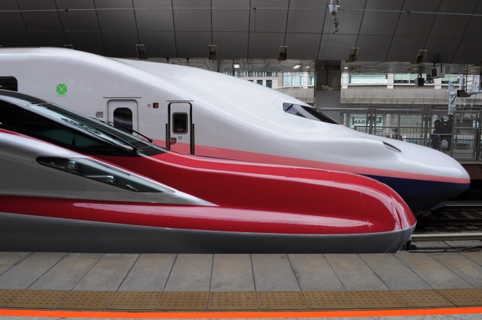 鉄道乗車記録の写真:乗車した列車(外観)(1)        「手前が乗車列車のE6系。2階建て車のE4系との比較。」
