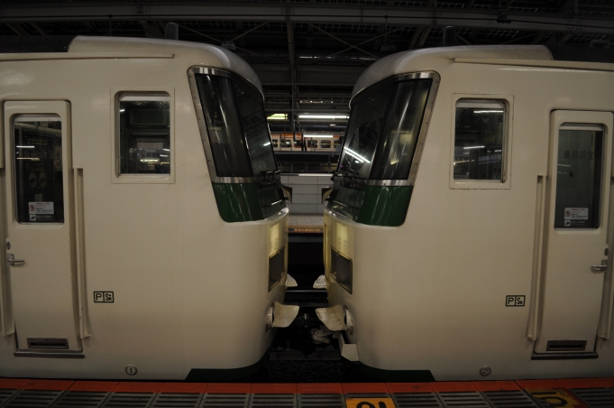 鉄道乗車記録の写真:乗車した列車(外観)(3)        「左側：乗車した修善寺編成(C5)
右側：熱海から連結した下田編成(A3)」