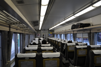 伊豆高原駅から東京駅の乗車記録(乗りつぶし)写真