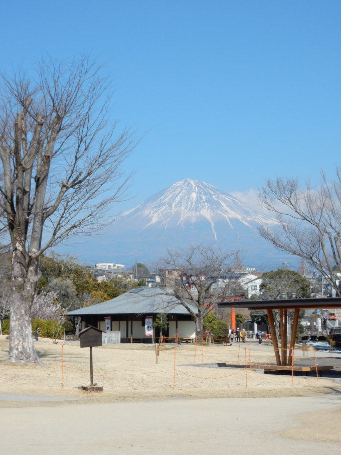 鉄道乗車記録の写真:旅の思い出(5)        「富士宮市内で撮影した「富士山」」