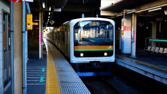 川越駅から武蔵高萩駅の乗車記録(乗りつぶし)写真