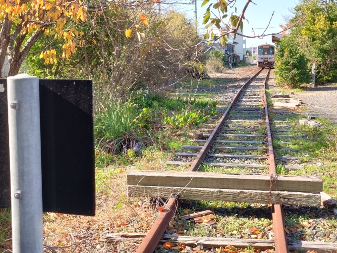 鉄道乗車記録の写真:駅舎・駅施設、様子(8)        「車止めから駅方向を」