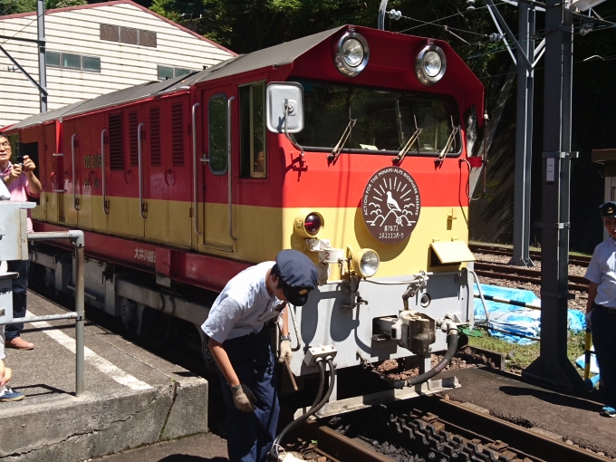 鉄道乗車記録の写真:乗車した列車(外観)(2)        「DD206」
