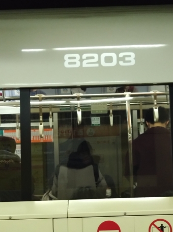 新さっぽろ駅から西１１丁目駅の乗車記録(乗りつぶし)写真