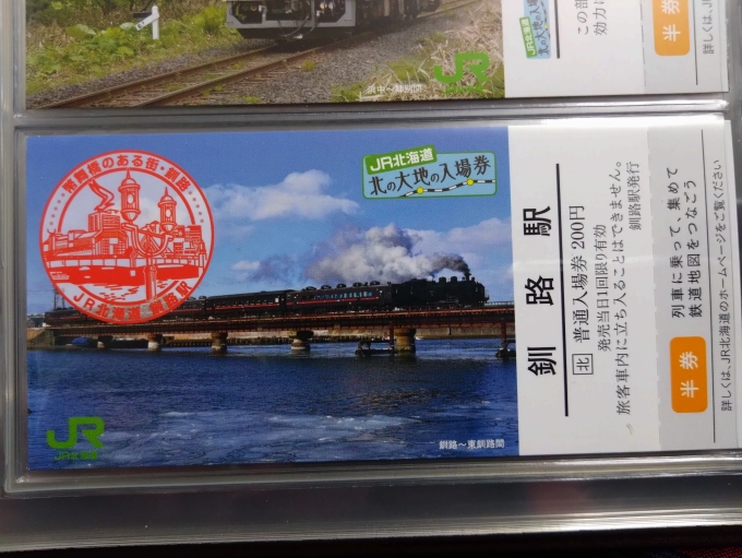 鉄道乗車記録の写真:きっぷ(10)        
