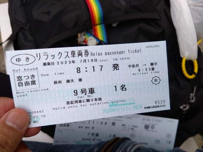 鉄道乗車記録の写真:きっぷ(4)        「車両指定券ですね。」