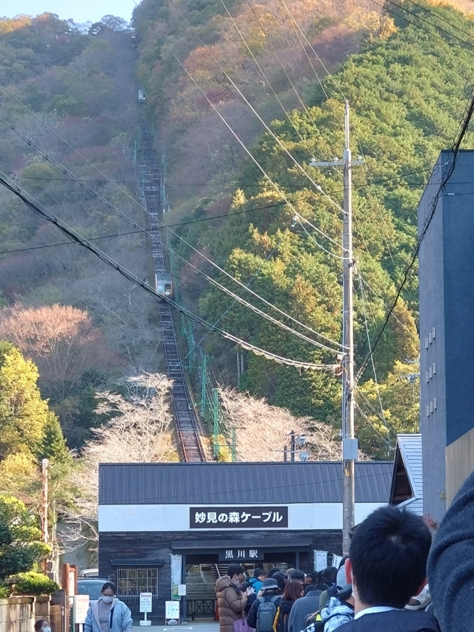 鉄道乗車記録の写真:乗車した列車(外観)(1)          「下からのケーブルの全景」