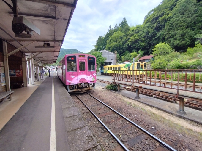 鉄道乗車記録の写真:駅舎・駅施設、様子(7)        