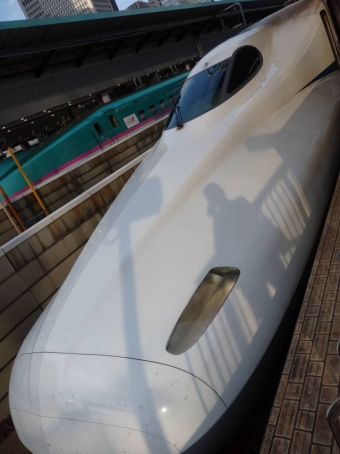 三島駅から東京駅の乗車記録(乗りつぶし)写真