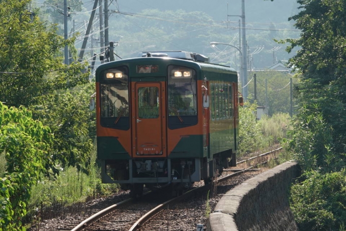 鉄道乗車記録の写真:列車・車両の様子(未乗車)(3)        「湘南カラー（公式には『お茶のみどりとみかんの色』だそうです）の列車が通過して行きました。TH2101」