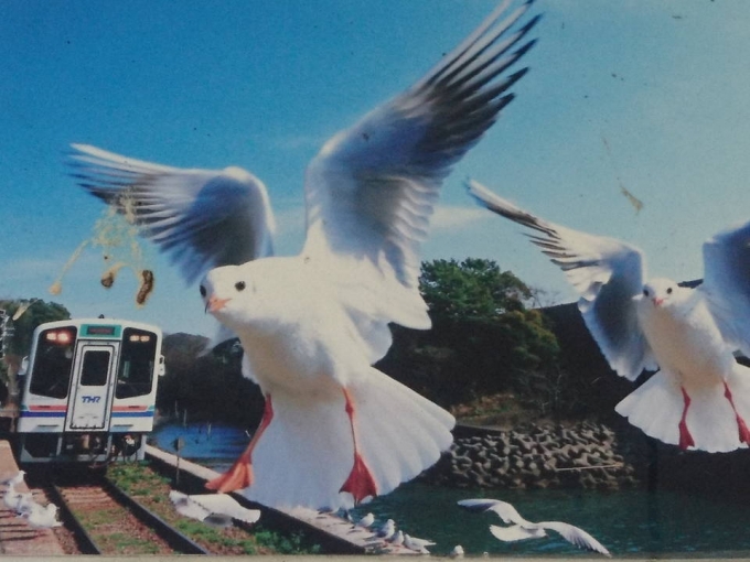 鉄道乗車記録の写真(2)        「冬ならばこういう景色が。。。（ゆるキャン△聖地。。。あ、これポスターですから念のため。」