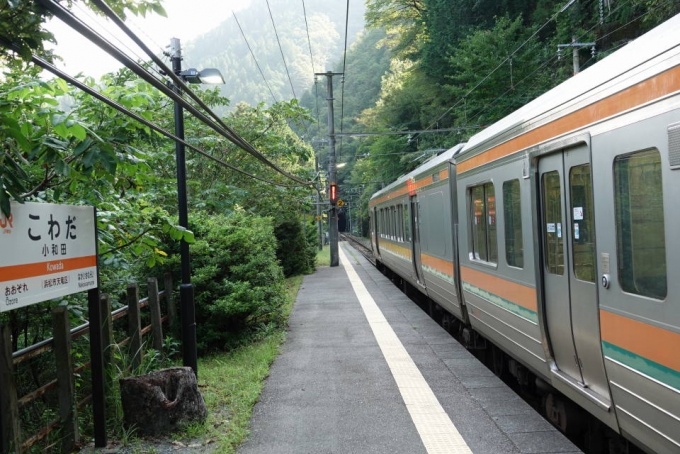 鉄道乗車記録の写真:駅名看板(3)        「小和田到着です。
某秘境駅ランク堂々の３位！！」
