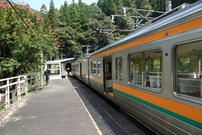 鉄道乗車記録の写真:乗車した列車(外観)(11)        「相月駅到着。」