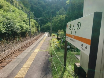 金野駅から伊那小沢駅:鉄道乗車記録の写真