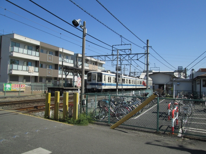 鉄道乗車記録の写真:列車・車両の様子(未乗車)(2)        「大宮公園駅
8465」