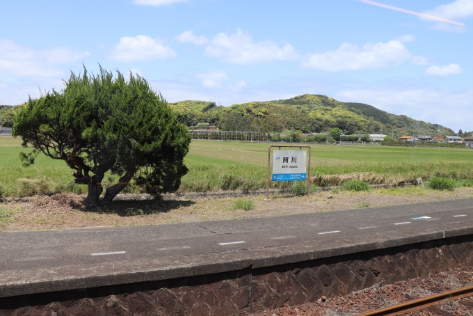 鉄道乗車記録の写真:駅名看板(28)        